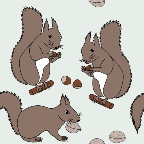 Muster Eichhörnchen