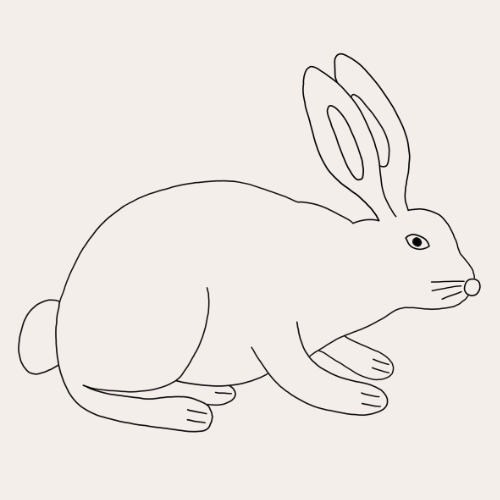 Hase zum Ausmalen