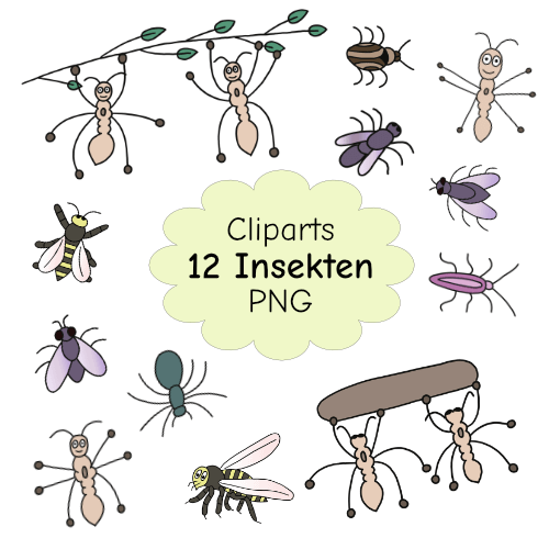 12 farbige Insekten-Cliparts
